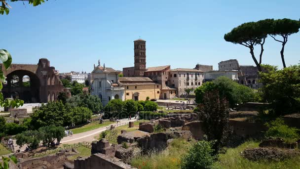 Palatino, colina palatina — Vídeos de Stock