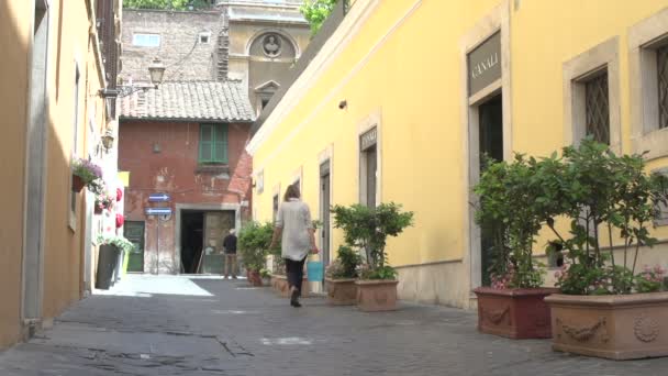 Turisté chodí s kufry — Stock video