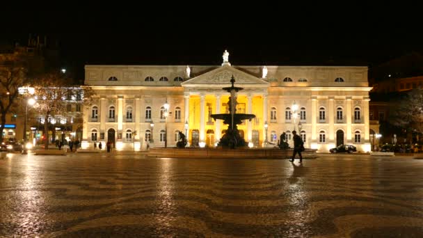 Nationaltheater d. maria ii — Stockvideo