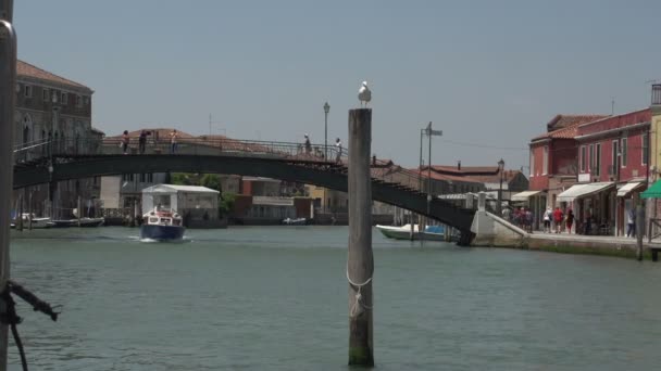 Människor som vandrar över bron i Murano — Stockvideo