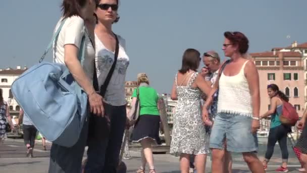 관광객 들으로 붐비는 부두 — 비디오
