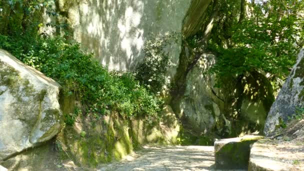 Antigo Castelo dos Mouros — Vídeo de Stock