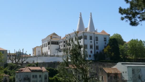 Piękny pałac Sintra — Wideo stockowe