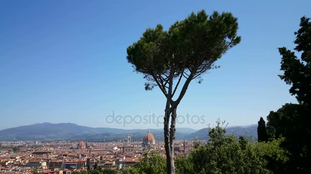 Przegląd Florenze z Fort Belvedere — Wideo stockowe