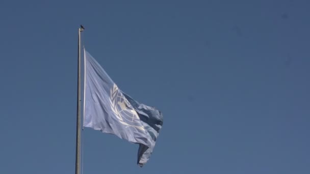 Bandeira das Nações Unidas — Vídeo de Stock