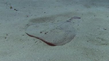 Mermer elektrikli ray