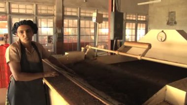 Çay fabrikası çalışma süreci