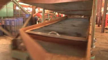 Çay fabrikası'nda çalışan makine