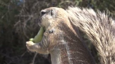 Sincap çekim kadar kapatın