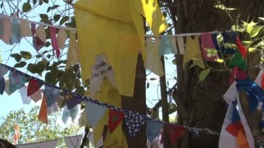 Bodhi ağacı Bayraklarda dua  