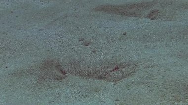 Mermer elektrikli ray