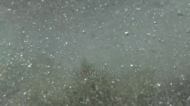 Dalgalar ve Körfez'Akdeniz 