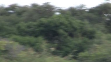 Sri Lanka, yatay pan-shot 