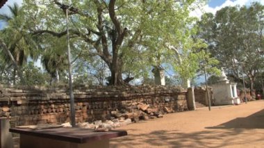 Anuradhapura bahçede Tapınağı