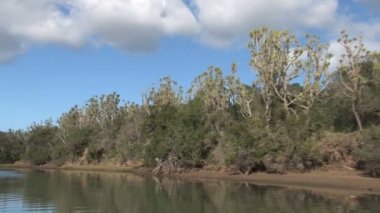 Gölün Güney Afrika