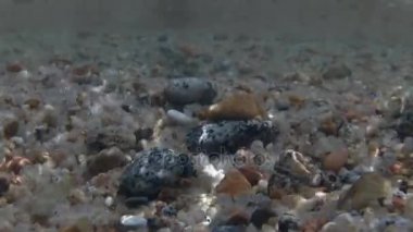 Dalgalar ve Körfez'Akdeniz 