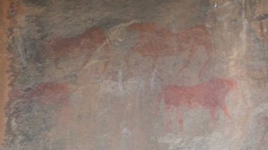  Baf bölgesi, Aphrodite banyo