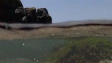 Dalgalar ve Körfez'Akdeniz 
