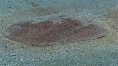 Mermer elektrikli ray