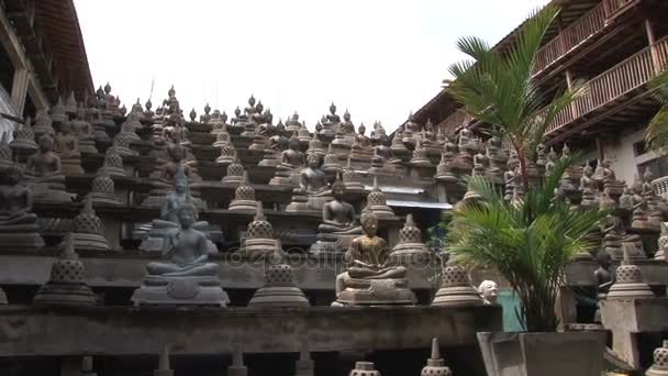 Buda esculturas en el templo Gangarama — Vídeo de stock