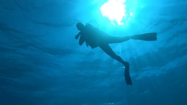 Diver in blue sea water with sunlight — Stock Video