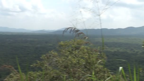 Sri Lanka Landscape Pan Shot — Stock Video