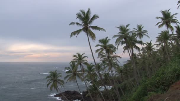 Солнечный пляж в Шри-Ланке — стоковое видео