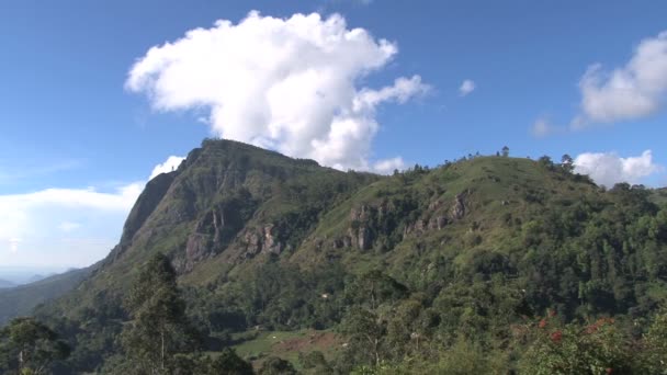 Sri Lanka Landschaftsaufnahme — Stockvideo