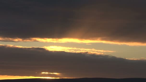 Tournage Coucher Soleil Afrique Sud — Video