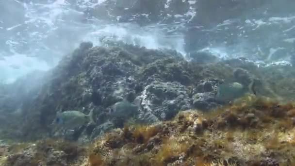 Olas y golfo en el mar Mediterráneo — Vídeos de Stock