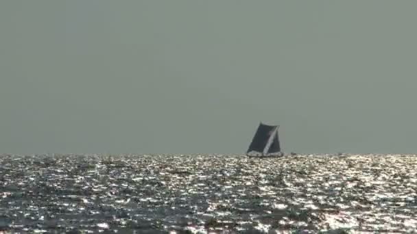 Boat sailing near coast of Negombo — Stock Video