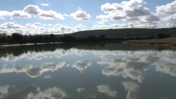 Lake in Zuid-Afrika — Stockvideo