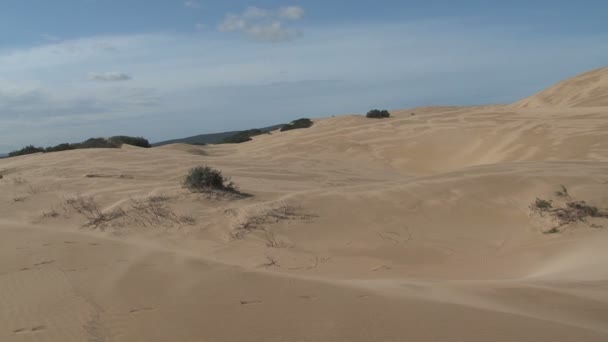 Tenten kamp in de duinen van de Sahara — Stockvideo