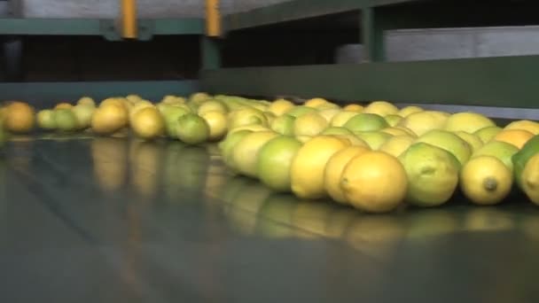 Фабрика современных лимонов — стоковое видео