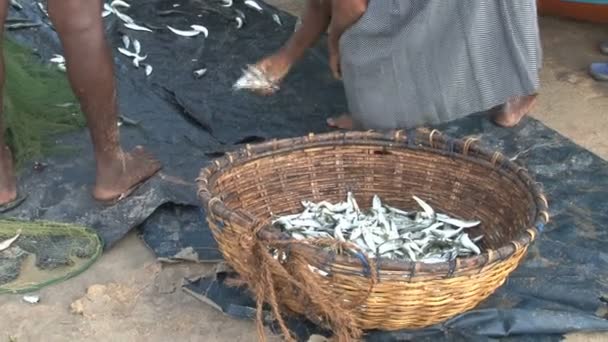 Fischmarkt sri lanka — Stockvideo