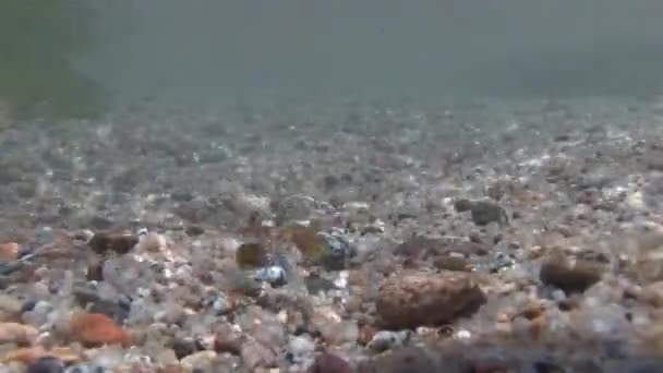 Ondas e golfo no mar Mediterrâneo — Vídeo de Stock