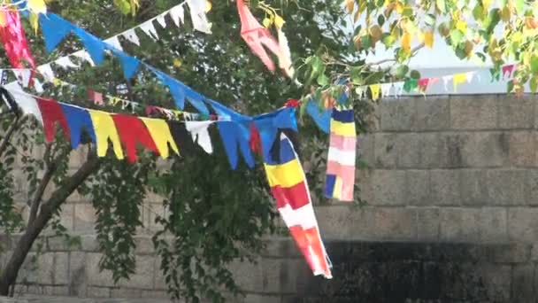 Drapeaux de prière à Bodhi-tree — Video