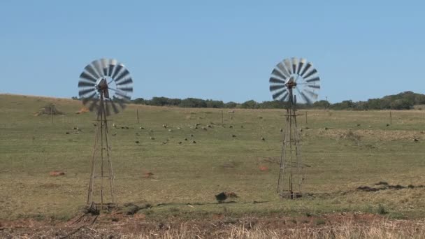 Ветряные Мельницы Юго Африканском Ландшафте — стоковое видео