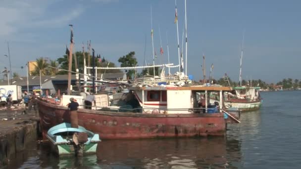 Fisher hombres en el puerto — Vídeo de stock