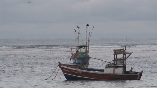 Veleros en el agua en Sri Lanka — Vídeos de Stock