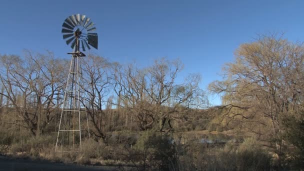 Windmühle Auf Südafrikanischer Landschaft — Stockvideo