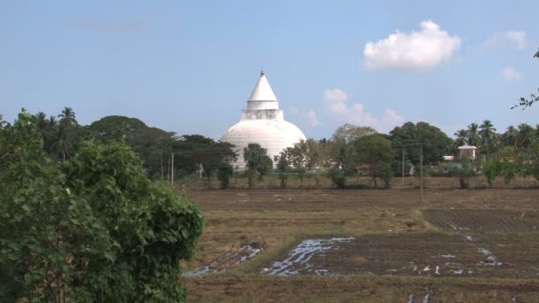 Пагода в ландшафте Шри-Ланки — стоковое видео