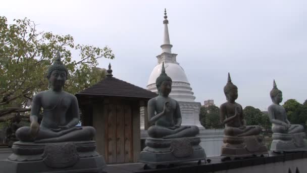 Ancient Buddhas in garden — Stock Video