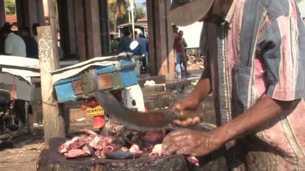 Images du marché aux poissons — Video