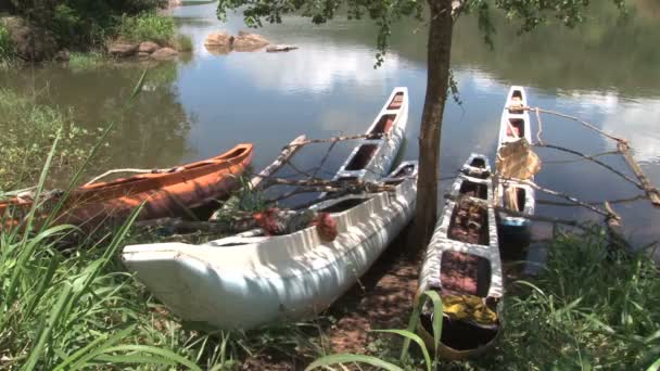 在湖中的小船, 斯里兰卡 — 图库视频影像