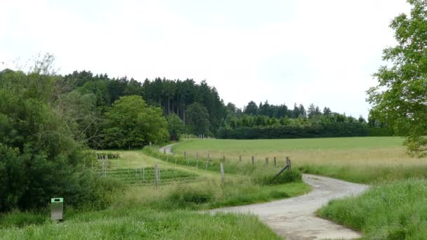 Wandelpad in de heuvels van Geroldswil — Stockvideo