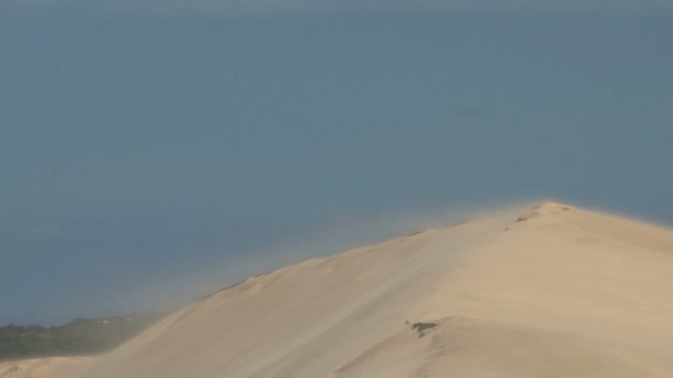 Kamp tienda de campaña en las dunas del Sahara — Vídeos de Stock