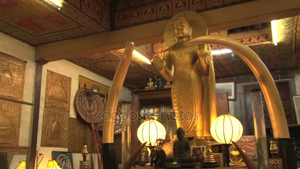Buddhistiska templet Gangarama — Stockvideo