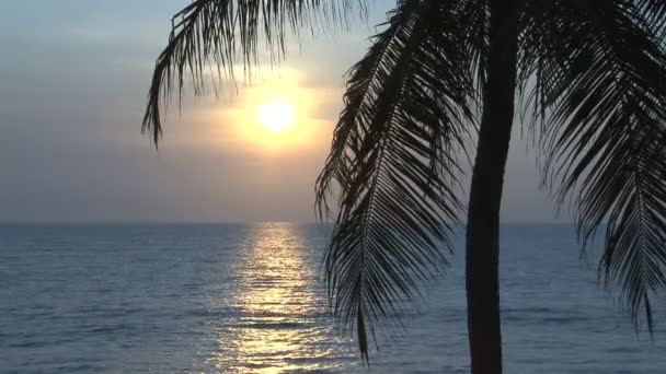 Zonsondergang op het strand, Negombo — Stockvideo