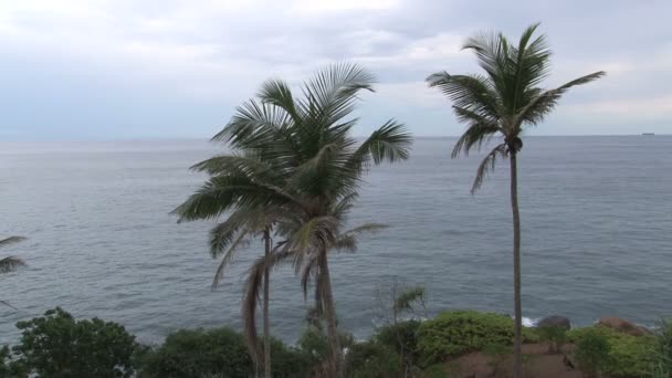 スリランカの太陽が降り注ぐビーチ — ストック動画